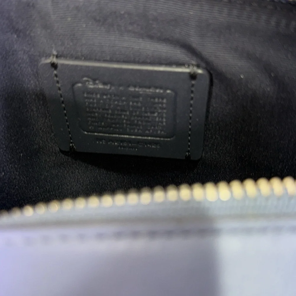 Disney X Coach Cinderella Crossbody Box Bag Purse NWT - Picture 15 of 15